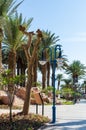 EILAT, ISRAEL Ã¢â¬â November 7, 2017: City promenade with palm trees, lanterns, going into the distance